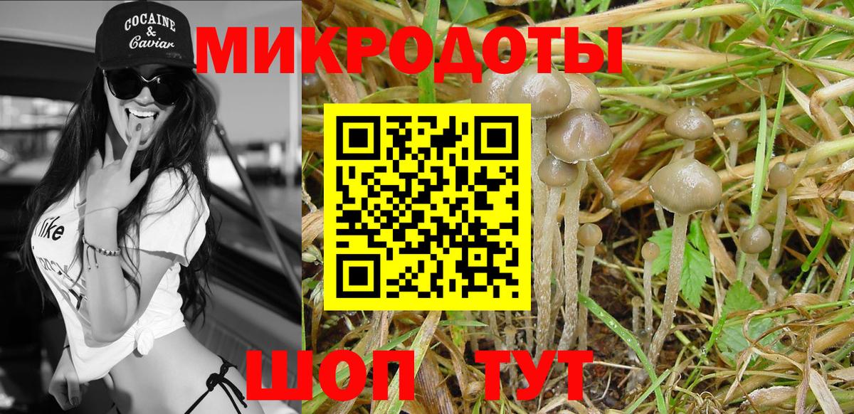 Галлюциногенные грибы GOLDEN TEACHER  Галлюциногенные грибы Cubensis  Вход с VPN  Губкин 