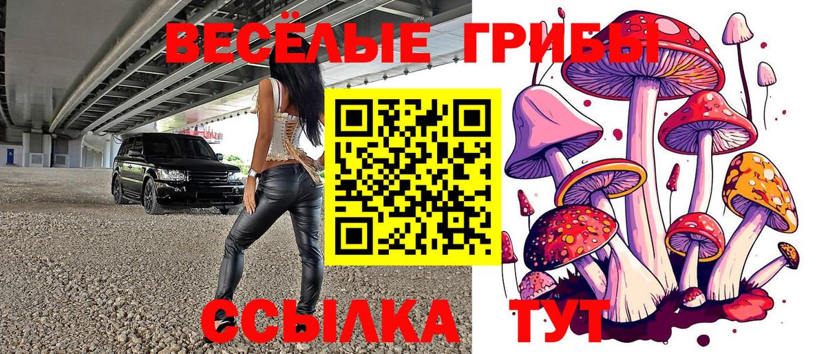 Галлюциногенные грибы Magic Shrooms Губкин